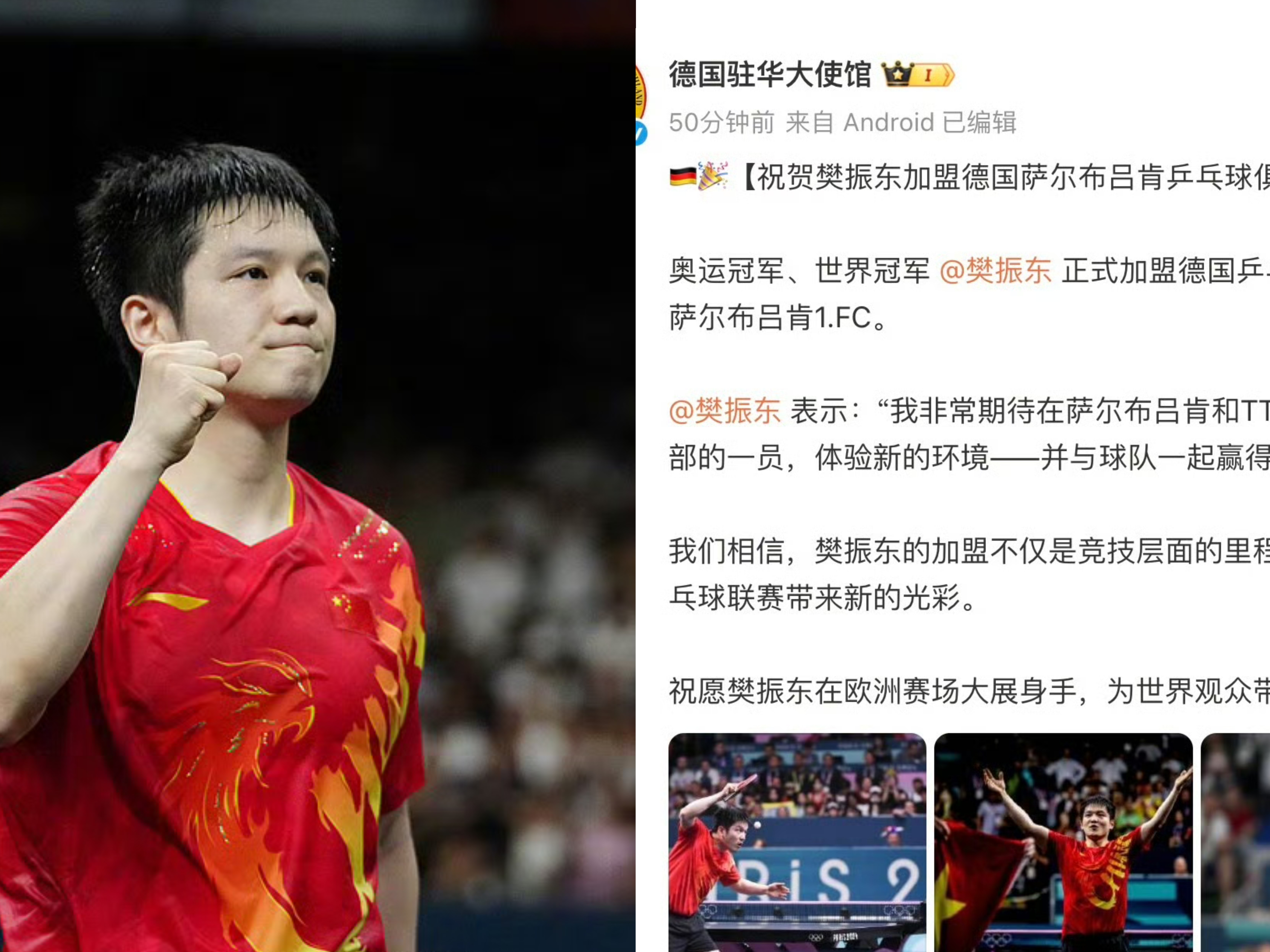 德国乒乓球队横扫日本乒乓球队,许昕关键制胜的简单介绍 德国乒乓球队横扫日本乒乓球队,许昕关键制胜的简单介绍