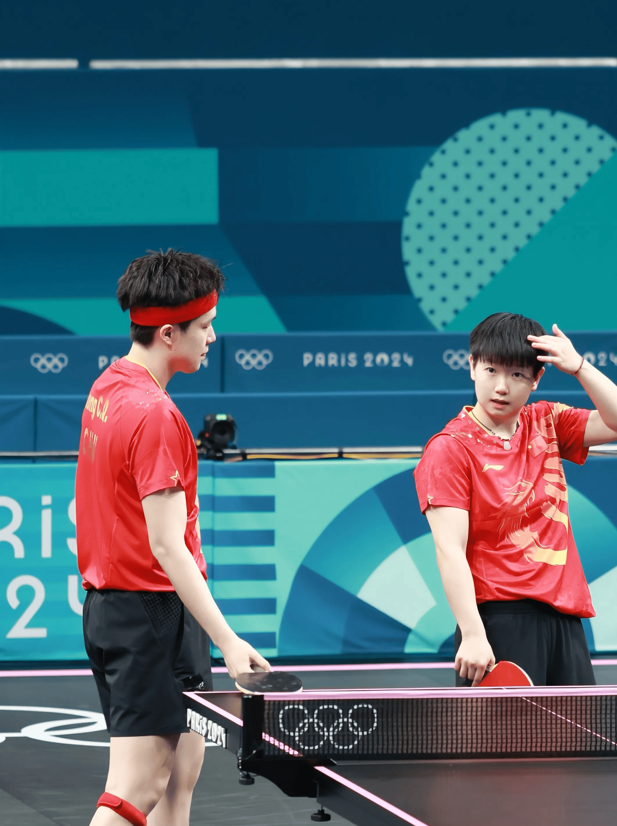 乒乓球迎来宿敌之战，恩怨再续的简单介绍