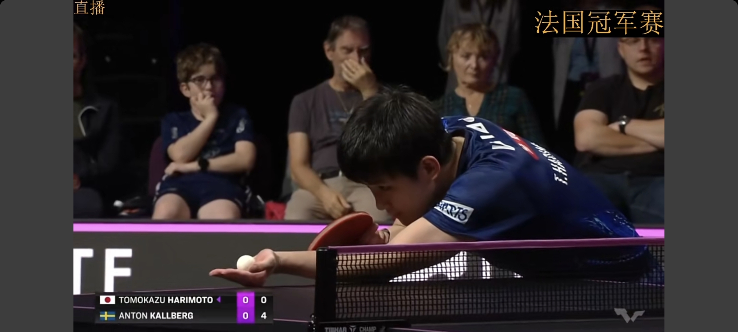 法国队鏖战英格兰队，张本智和刷新纪录的简单介绍