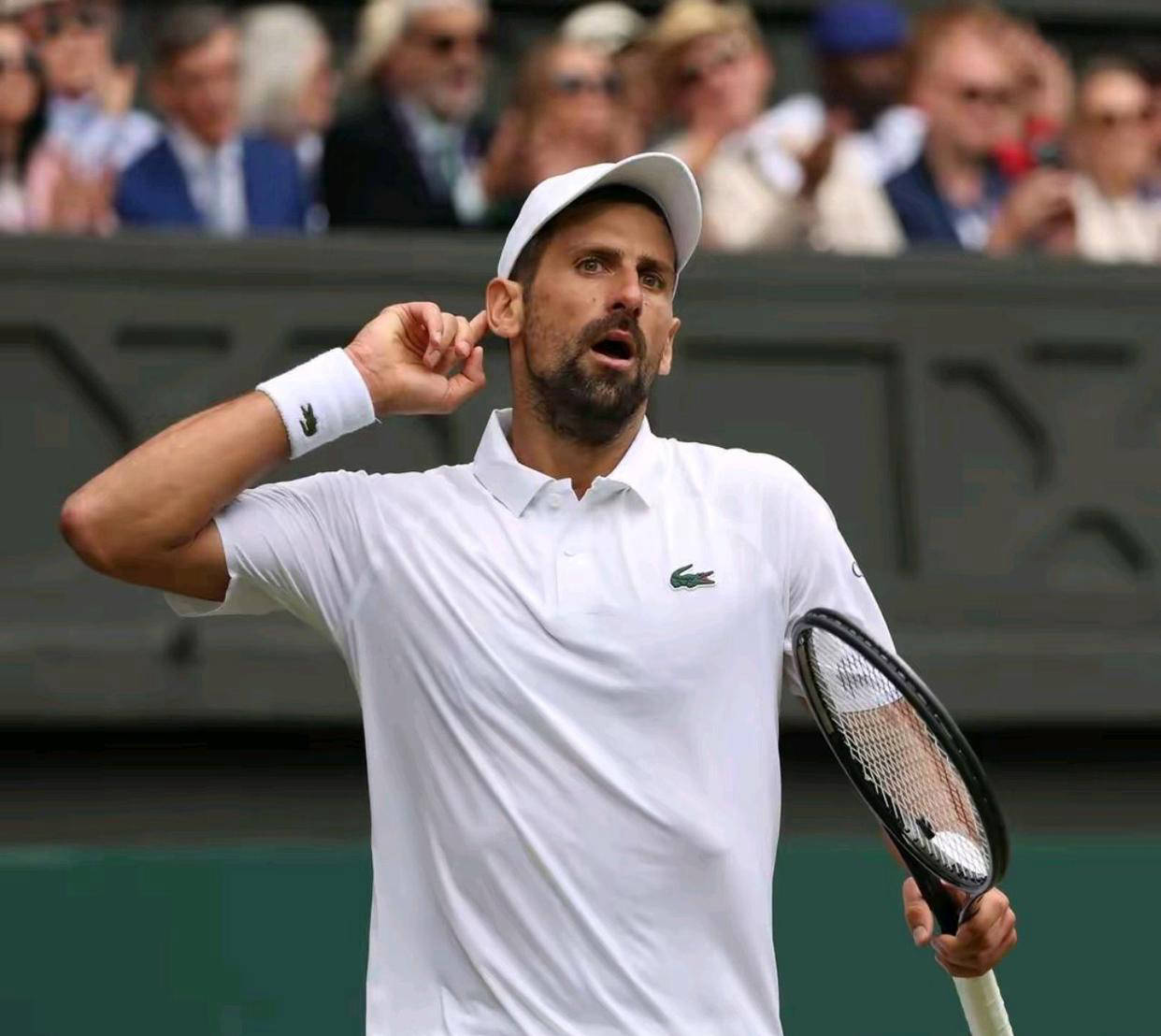 ATP总决赛轻取美网,德约科维奇高光表现 ATP总决赛轻取美网,德约科维奇高光表现