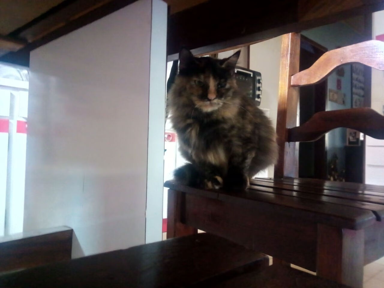 世纪对决，关键先生库里率辽宁巨龙正面击溃亚特兰大飞禽