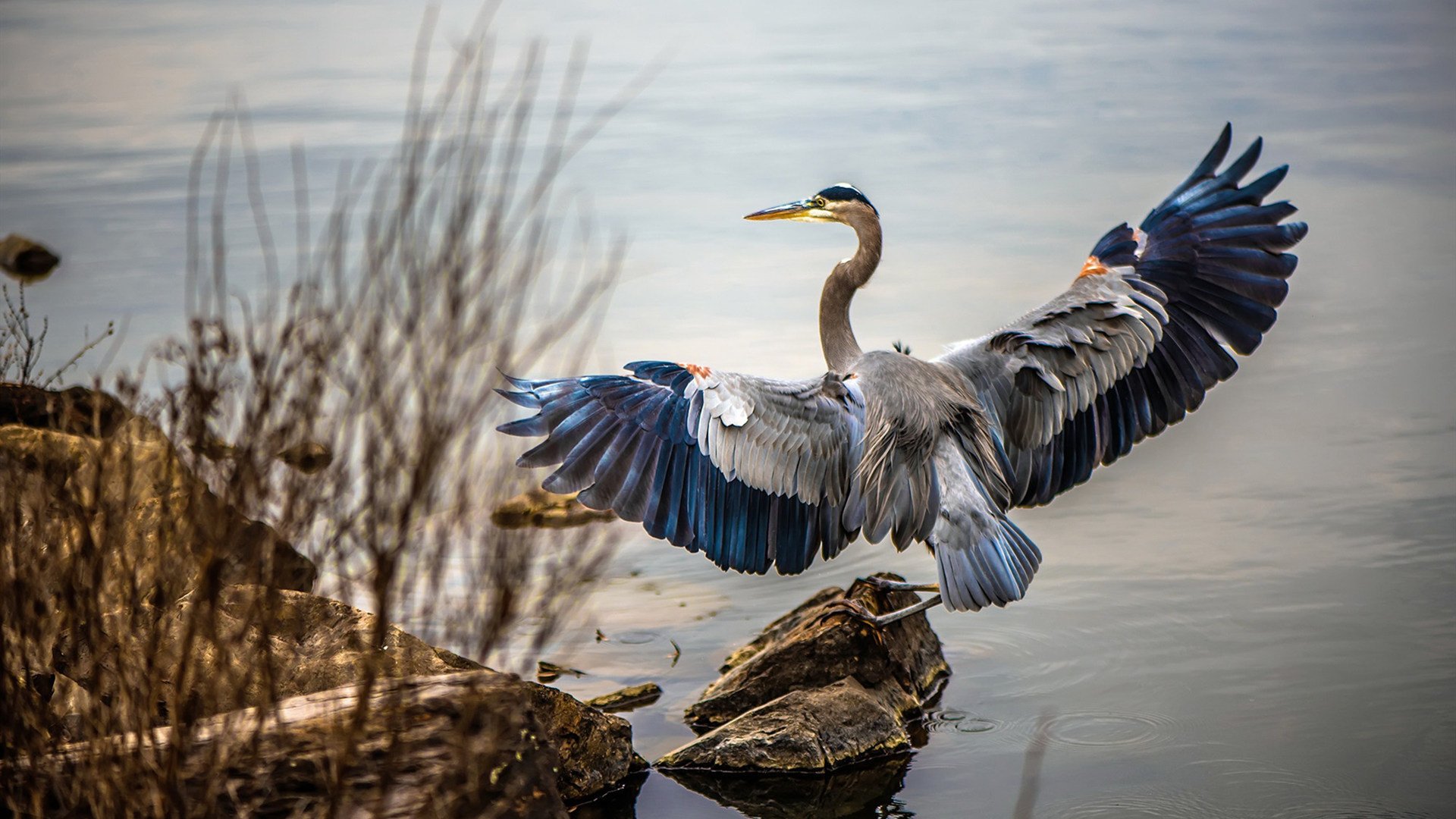 冠军级表现！奥纳纳神勇扑救助法国队强势击溃牙买加