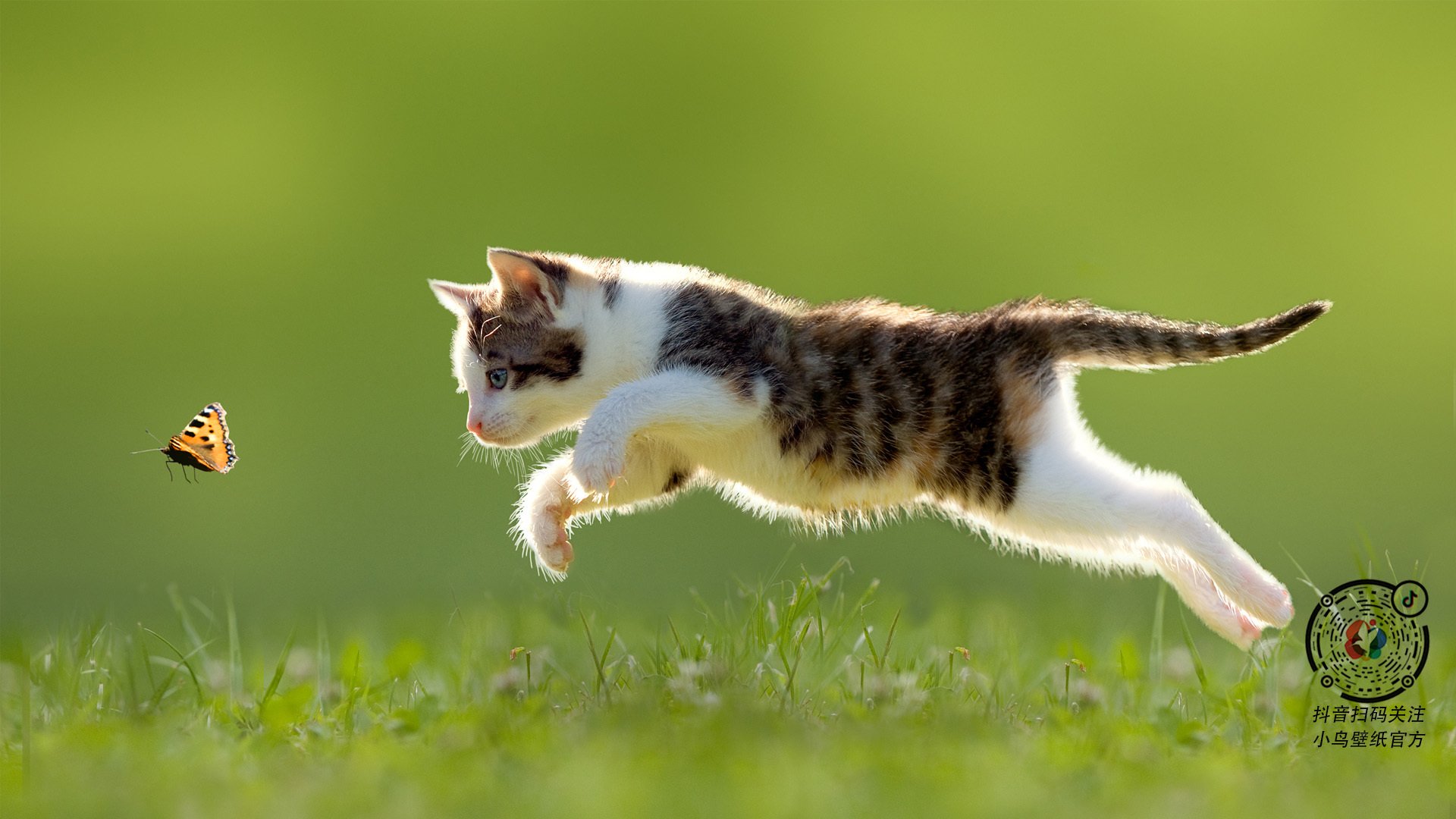 利拉德时间降临北京！NBA级绝杀助北京队撕碎广东王朝