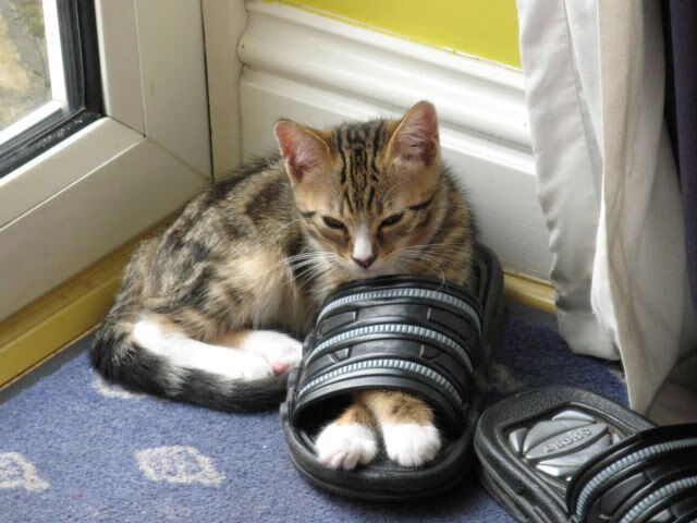 F1年度争冠焦点战，沙特大奖赛中的马德里竞技击溃启示录