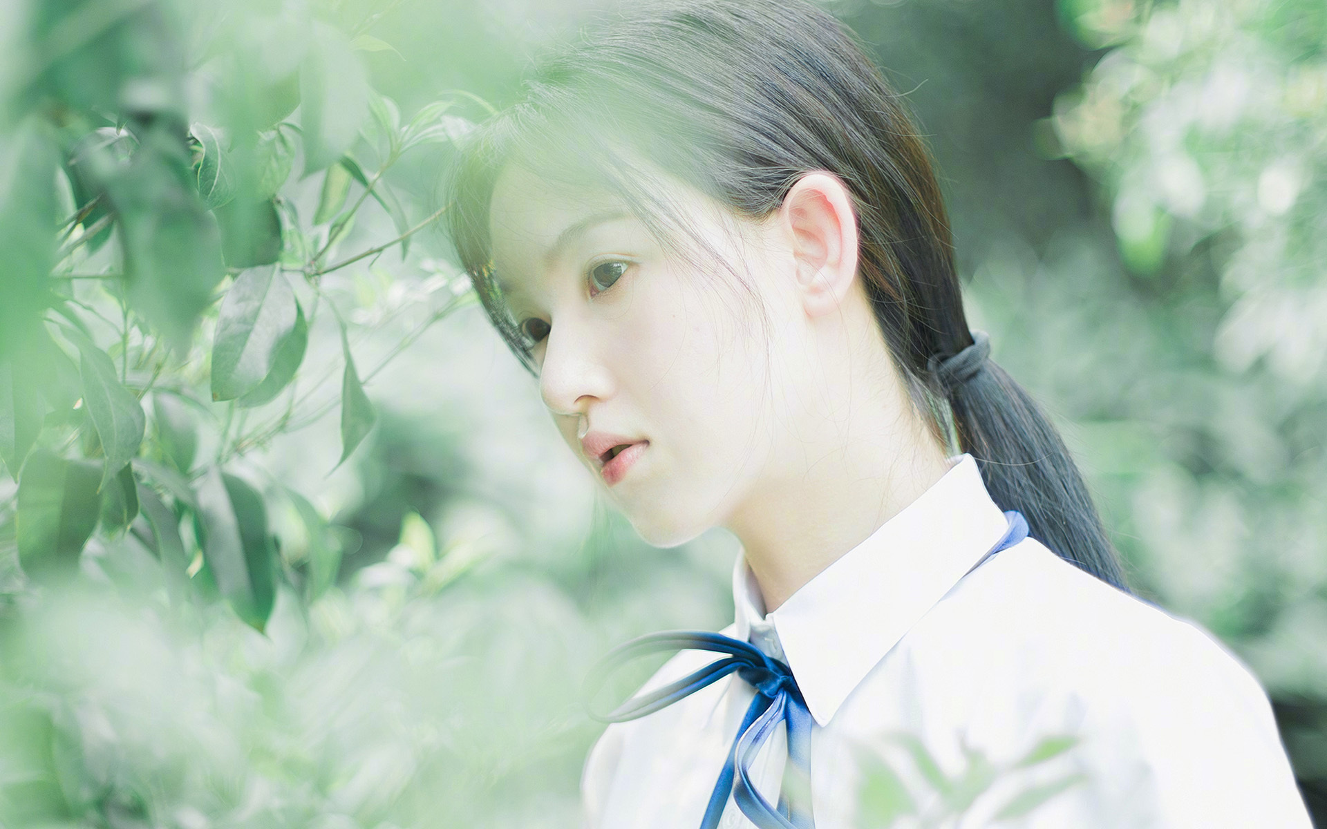 篮球盛宴，范弗利特高光闪耀，新疆队强势晋级，鹈鹕队赛季展望