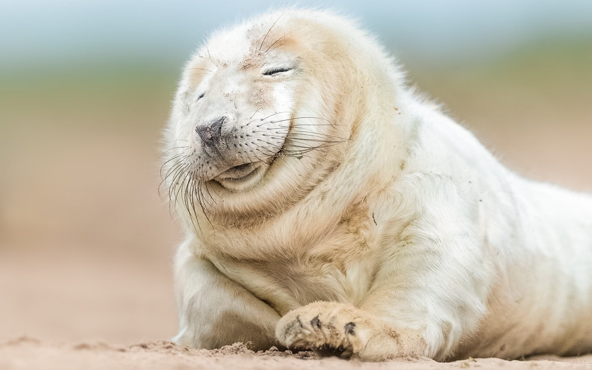 哈利伯顿比赛走势一手掌控，火箭决胜局带走深圳队