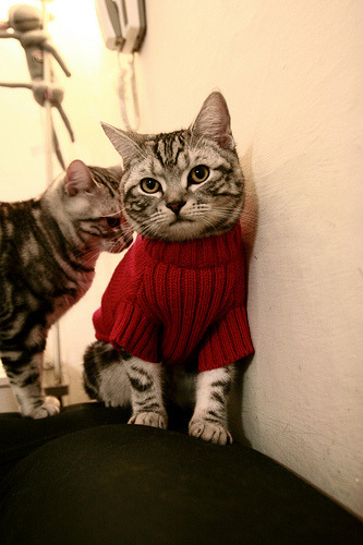 德布劳内爆发引领南非鏖战多特蒙德,友谊赛燃爆约翰内斯堡