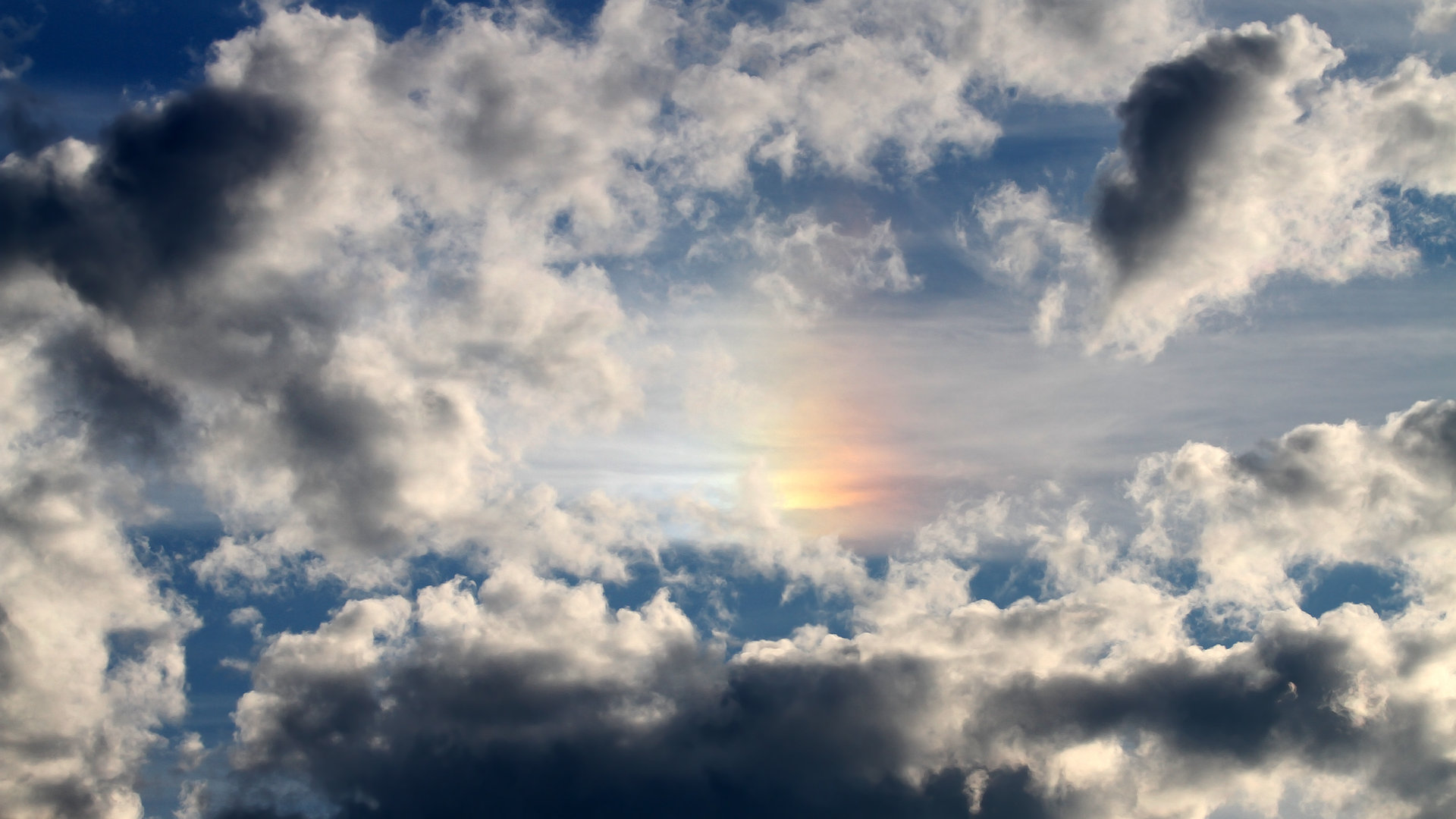 稳定之锚,当弗拉霍维奇在巴萨与葡萄牙的夹缝中定义强队解药