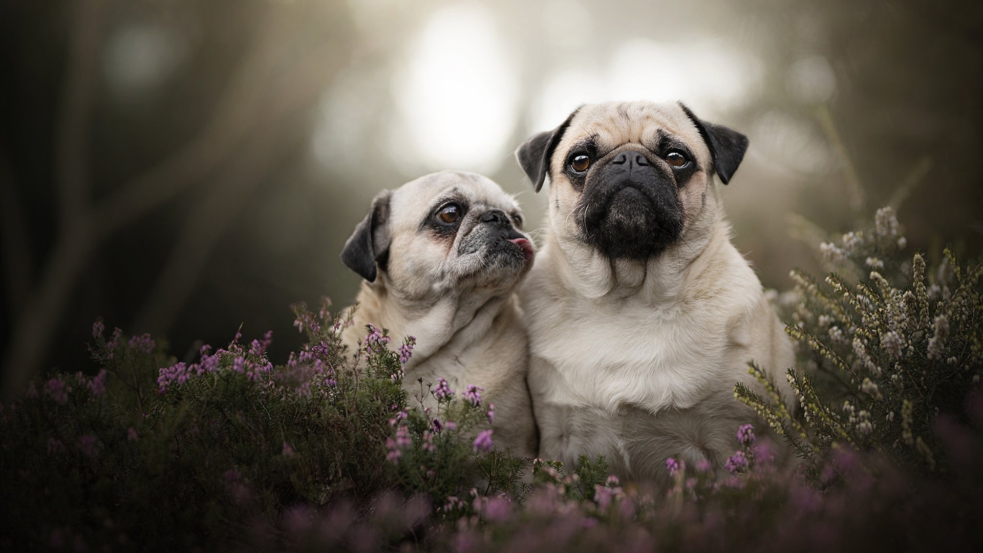 范弗利特单骑破阵，热火三军用命降公牛