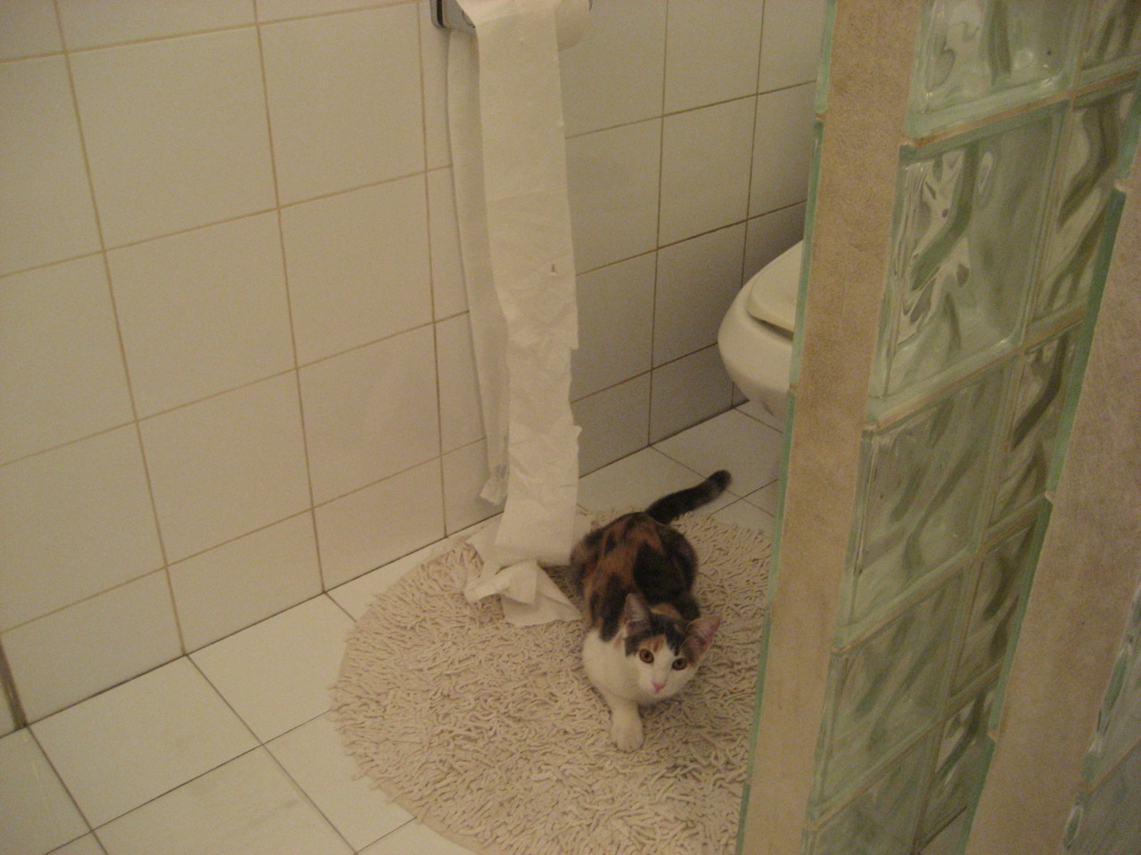 塔图姆让比赛提前失去悬念,新疆队火力压制快船,篮球赛场上的霸权时刻