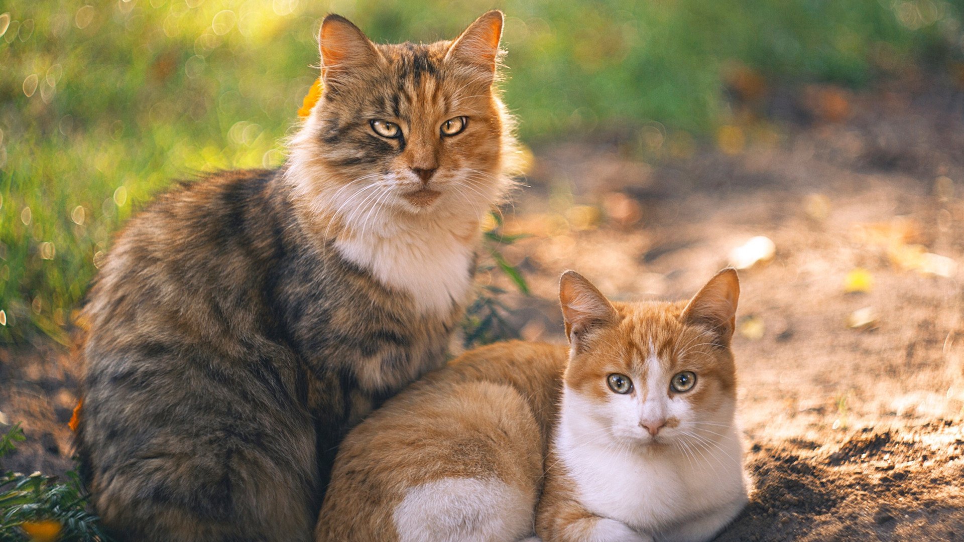一骑绝尘定乾坤，锡安欧冠决赛之夜封神，全场最佳毫无争议